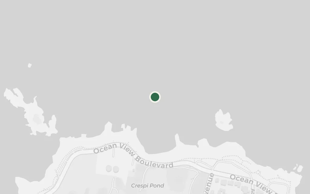 Map of The Great Tide Pool, Point Pinos today