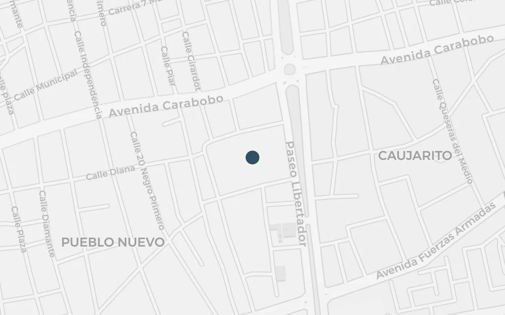 Map of San Fernando de Apure today