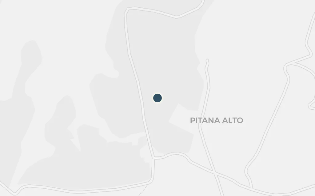 Map of The uprising at the estate today