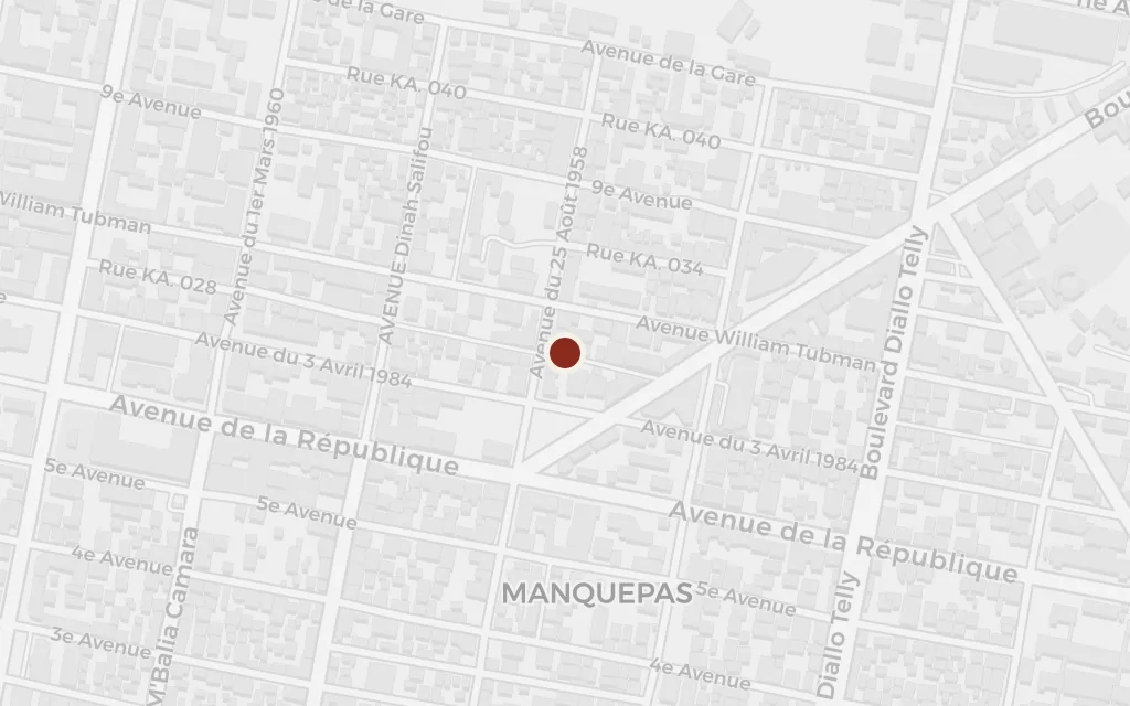 Map of Conakry (the college) today