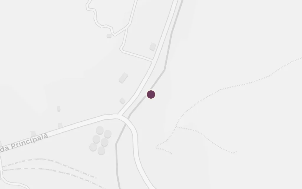 Map of Bologa's home (near Năsăud) today