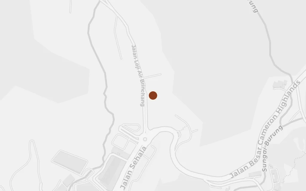 Map of Brinchang today