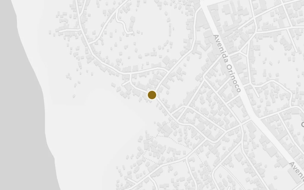 Map of Puerto Ayacucho (the river port) today