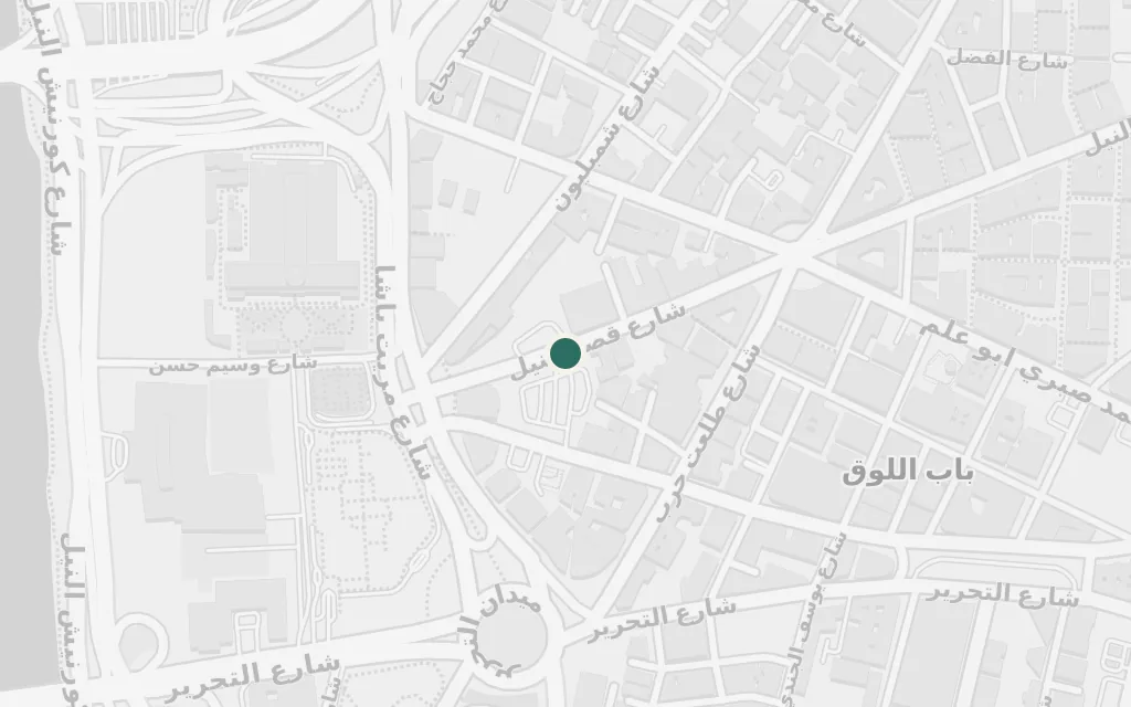 Map of Kasr El Nil Street today